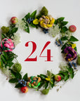 PRE-ORDER Adventskalender 2024 - Limited Edition