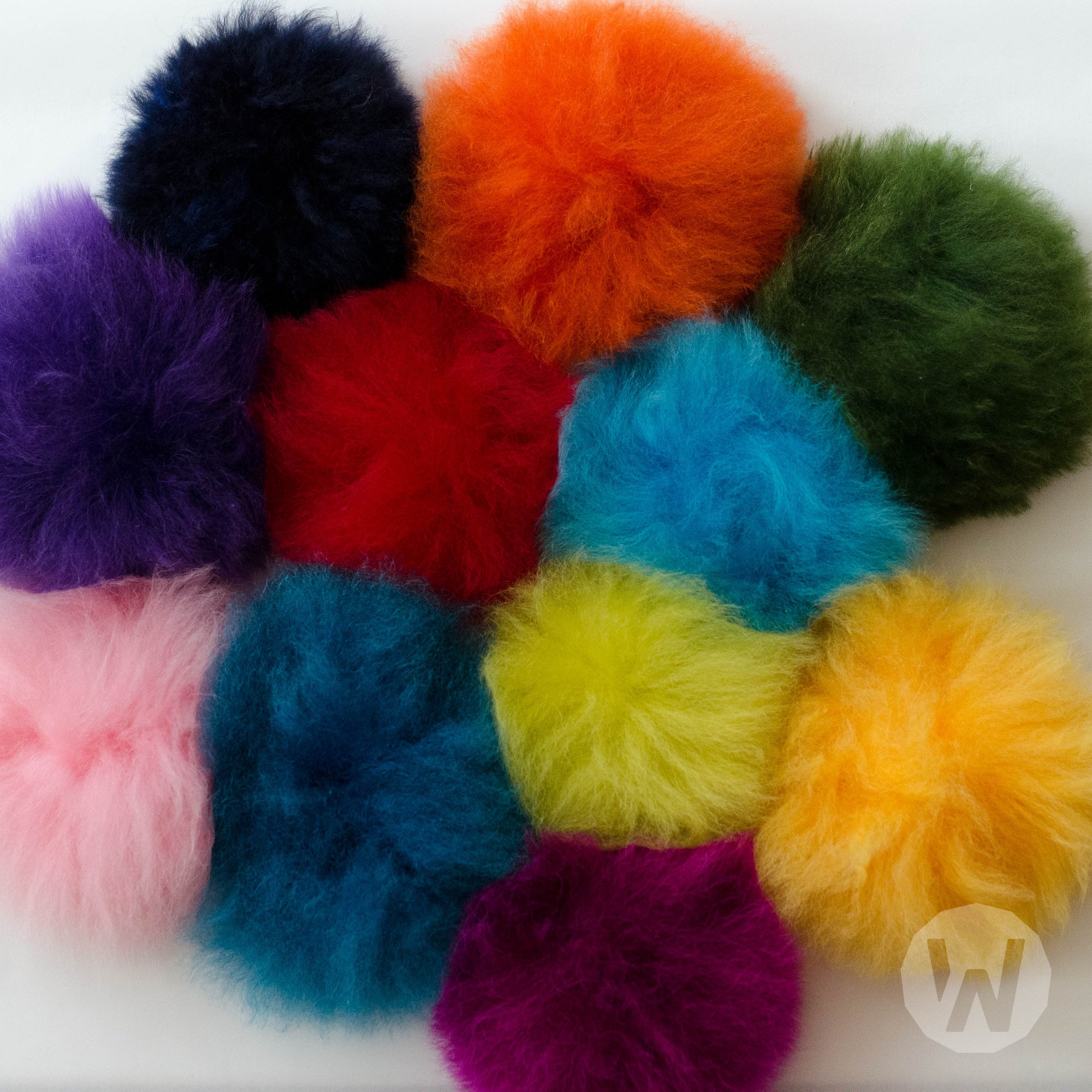 Pom Pom - Bunt